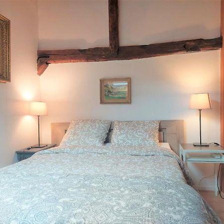 Chalet Charm In The Heart Of The Old Town Annecy Kültér fotó